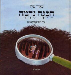כריכת הספר "הכינה נחמה" מאת הסופר מאיר שלו